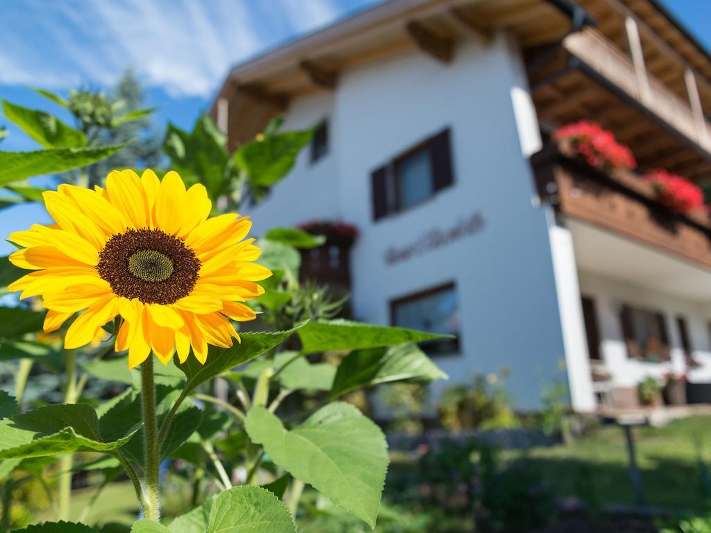 Haus Elisabeth Hotel Deutschnofen Buitenkant foto